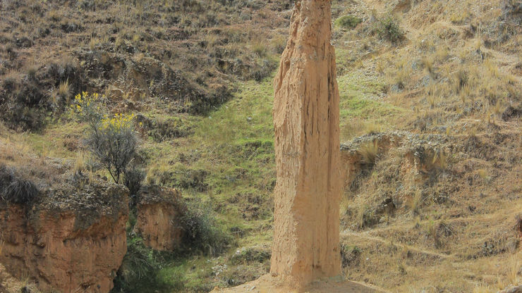 conociendo torre torre